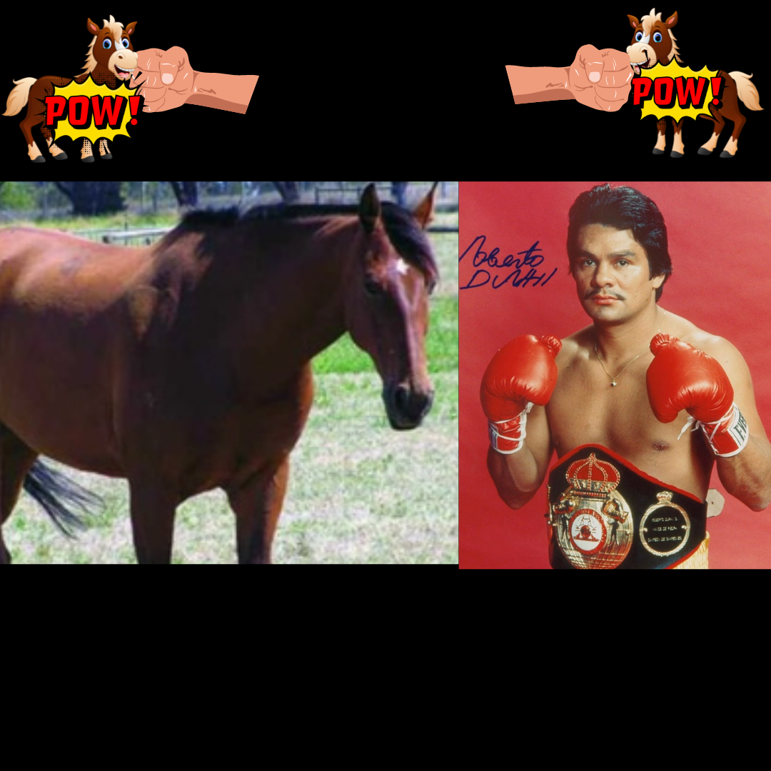 The Story of Roberto Duran & the Horse