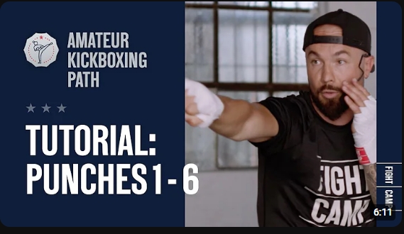 Read more about the article 6 Basic Punches Explained With Number System